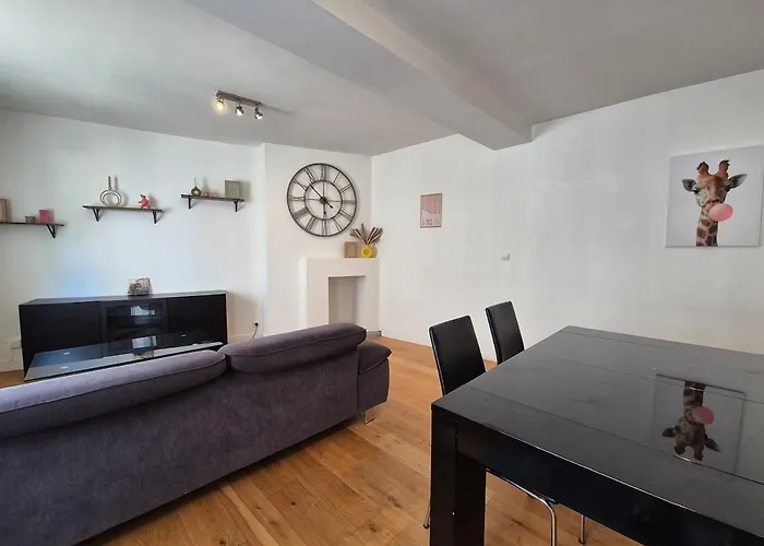 Apartament Le Grand Renou - - Wi-fi Angers